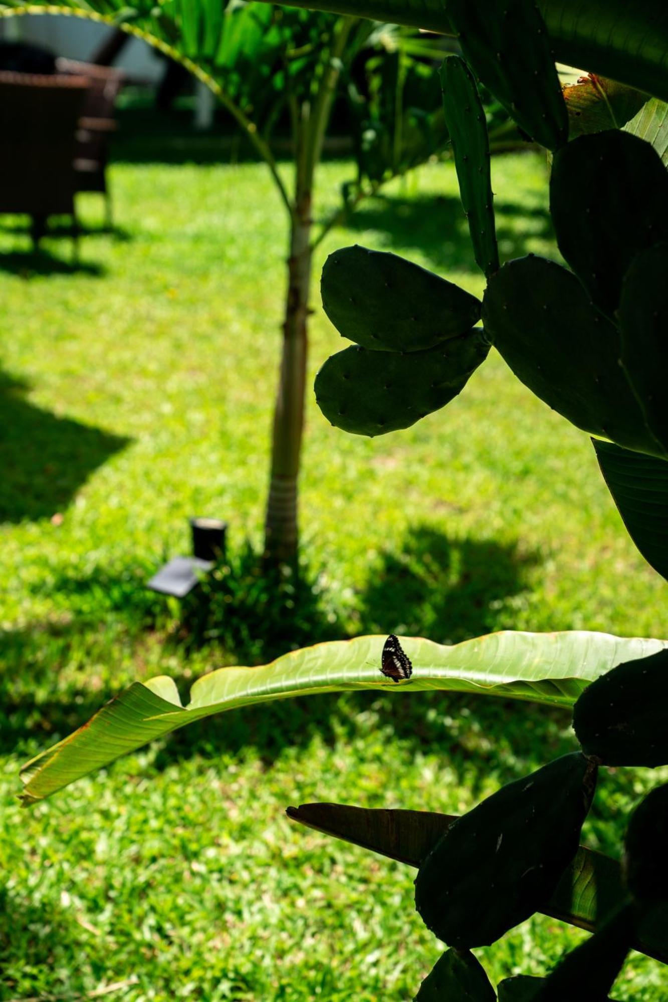 Koh Samui Resort & Restaurant Taling Ngam Beach Kültér fotó